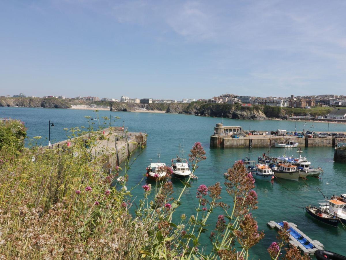 Flat 4 Apartment New Quay Exterior foto
